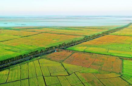 山東自然資源系統(tǒng)：實現(xiàn)&ldquo;以圖管地&rdquo;&ldquo;以地招商&rdquo;