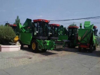 明投 自走式無殼南瓜取籽機(jī) 鏈條自